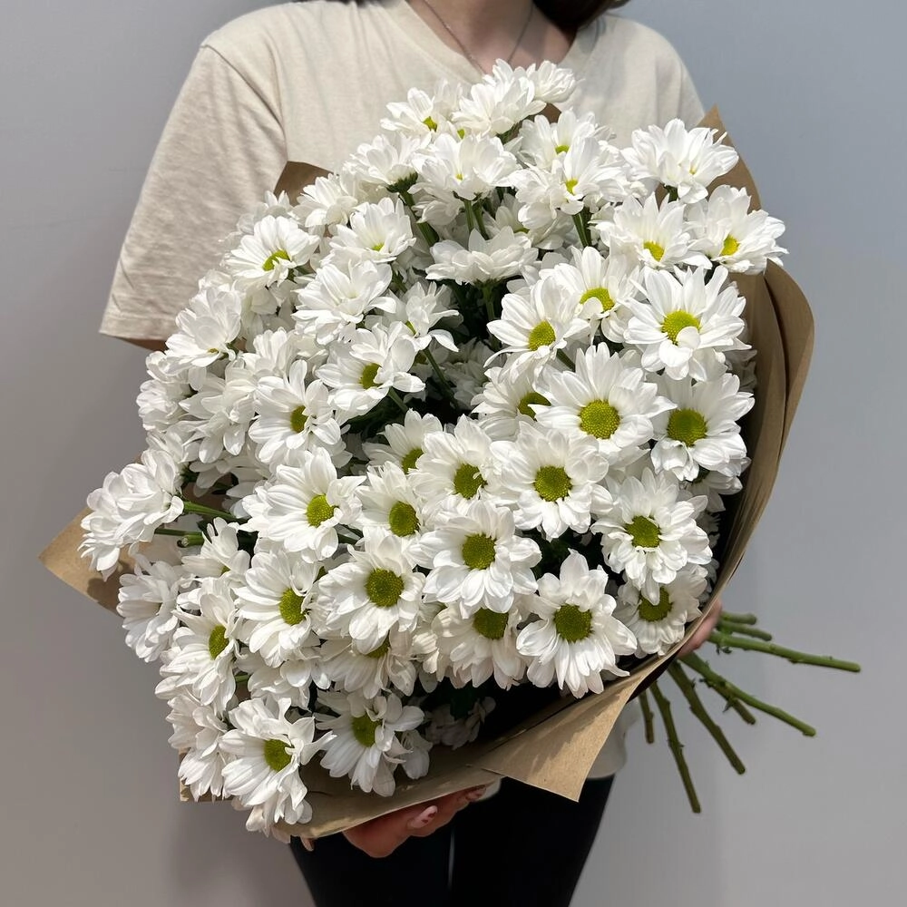 Букет «Летняя свежесть» – дыхание лета в белых хризантемах Вытегра Вологодская область