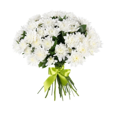 Букет «Белый ангел» – скульптурная чистота белых хризантем Вытегра Вологодская область