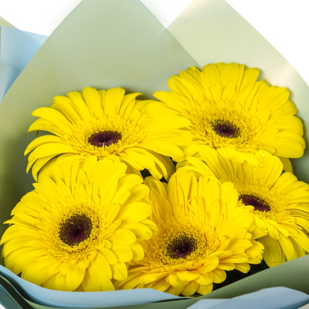 Яркий букет из 5 жёлтых гербер – как кусочек солнца в ваших руках Вытегра Вологодская область