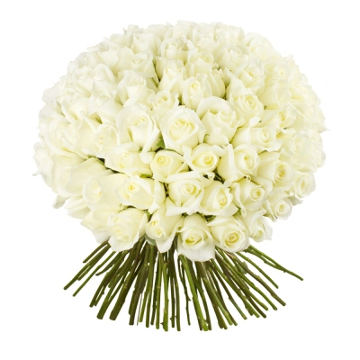Роскошный букет из 101 белой розы – воплощение бесконечной любви Вытегра Вологодская область