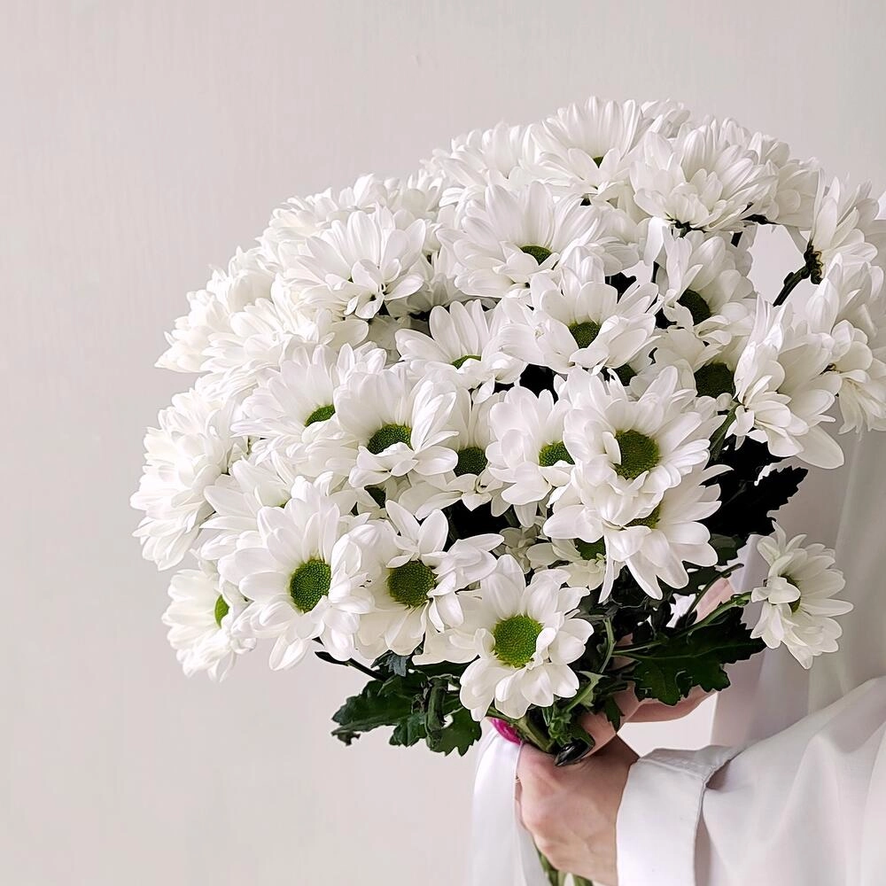 Букет «Ромашка» – 9 белоснежных хризантем в деревенском стиле Вытегра Вологодская область