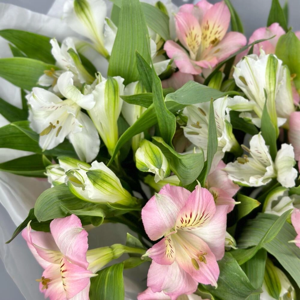 Букет «Нежность» – трогательное сочетание белых и розовых альстромерий Вытегра Вологодская область