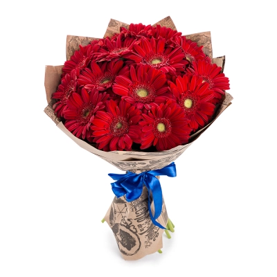 Яркий букет из 15 красных гербер – воплощение страсти и жизнерадостности Вытегра Вологодская область