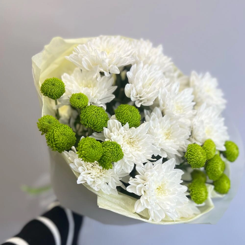 Эксклюзивный букет «Филин Грин» – сочетание белых и зеленых хризантем Вытегра Вологодская область