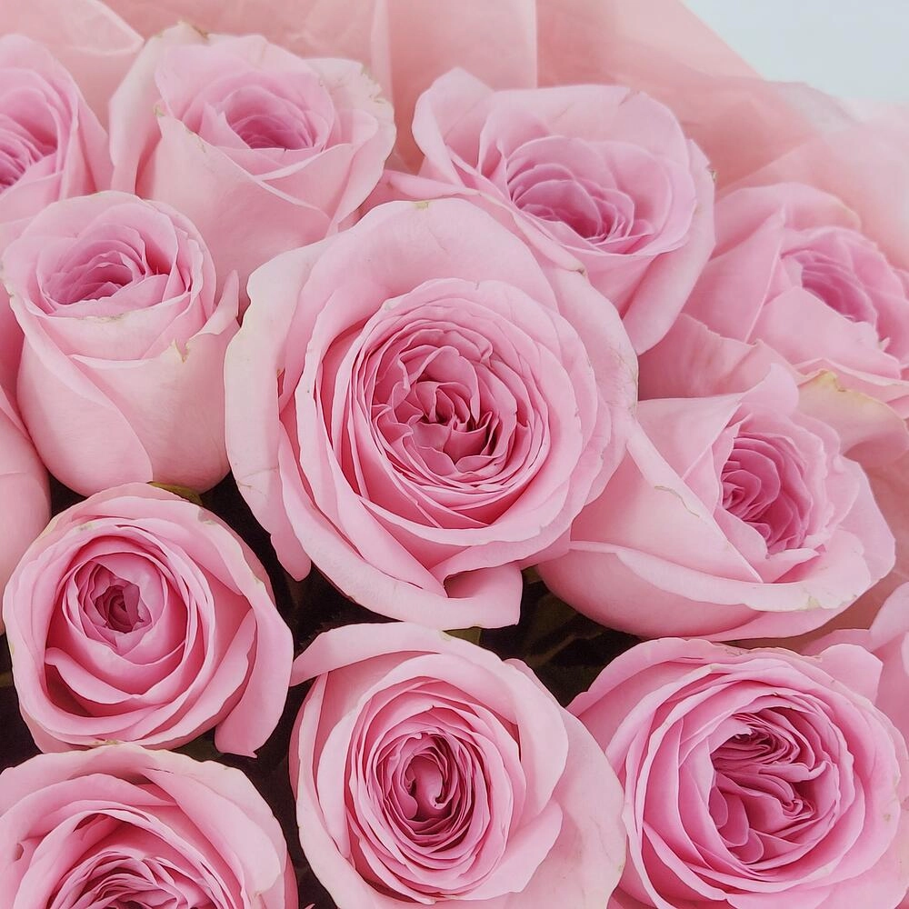 Букет из нежно-розовых роз – элегантность в каждом лепестке Вытегра Вологодская область