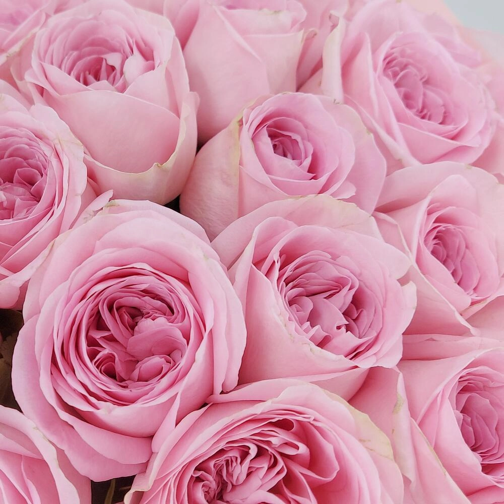 Букет из нежно-розовых роз – элегантность в каждом лепестке Вытегра Вологодская область
