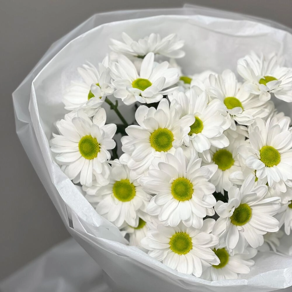 Букет «Ромашковый» – нежные белые хризантемы в деревенском стиле Вытегра Вологодская область