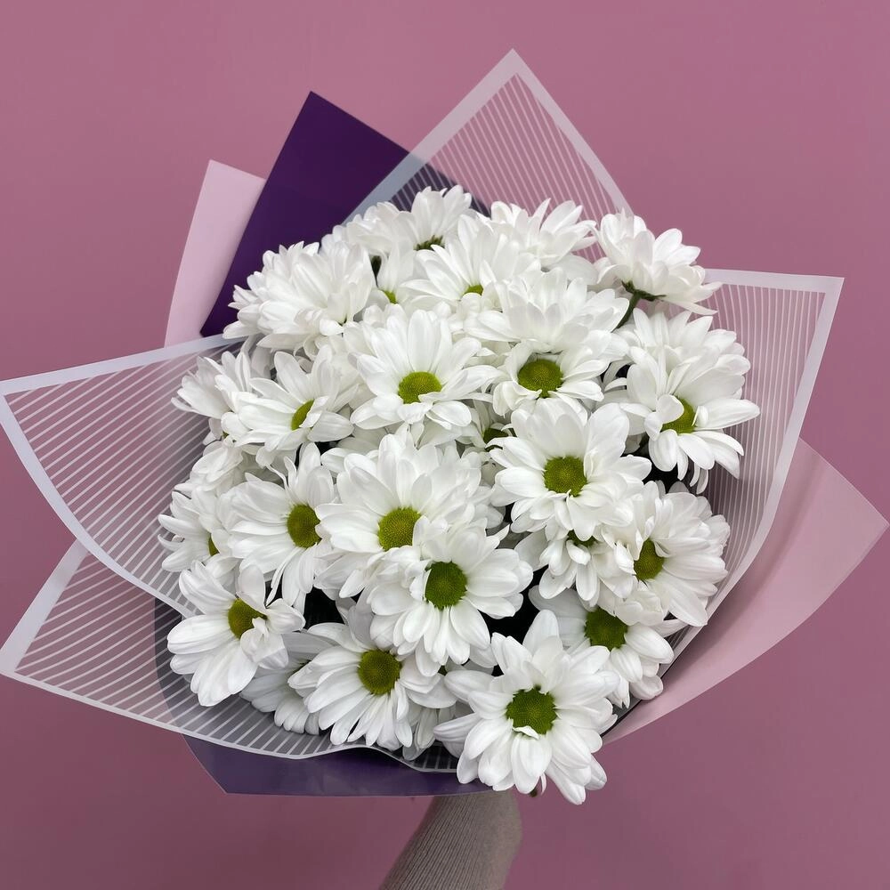 Букет «Весеннее настроение» – свежесть белых хризантем Вытегра Вологодская область