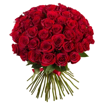 Букет «О, Шарман!» – 51 роскошная эквадорская роза Вытегра Вологодская область