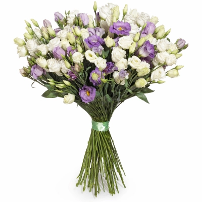 Изысканный букет из белых и фиолетовых эустом – гармония контрастов Вытегра Вологодская область