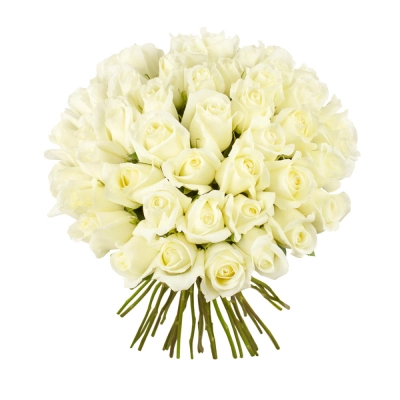 Роскошный букет из 51 белой розы – символ безграничной преданности Вытегра Вологодская область