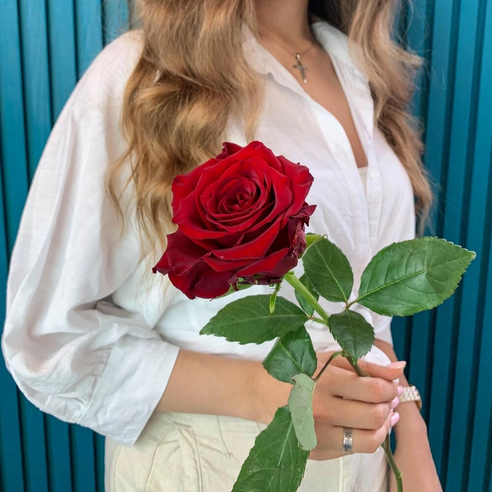 Комплимент из красной эквадорской розы – минимализм роскоши Вытегра Вологодская область