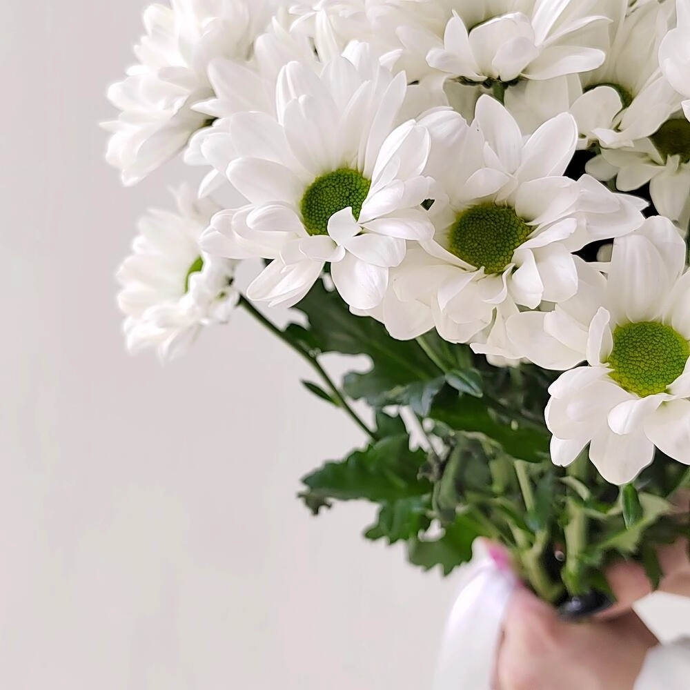 Букет «Ромашка» – 9 белоснежных хризантем в деревенском стиле Вытегра Вологодская область