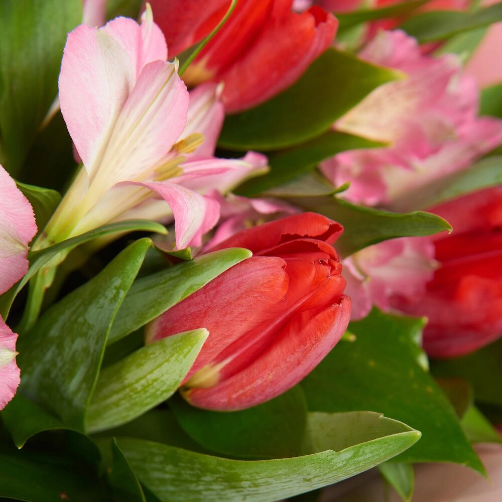 Букет «Первый поцелуй» красных тюльпанов и розовых альстромерий Вытегра Вологодская область