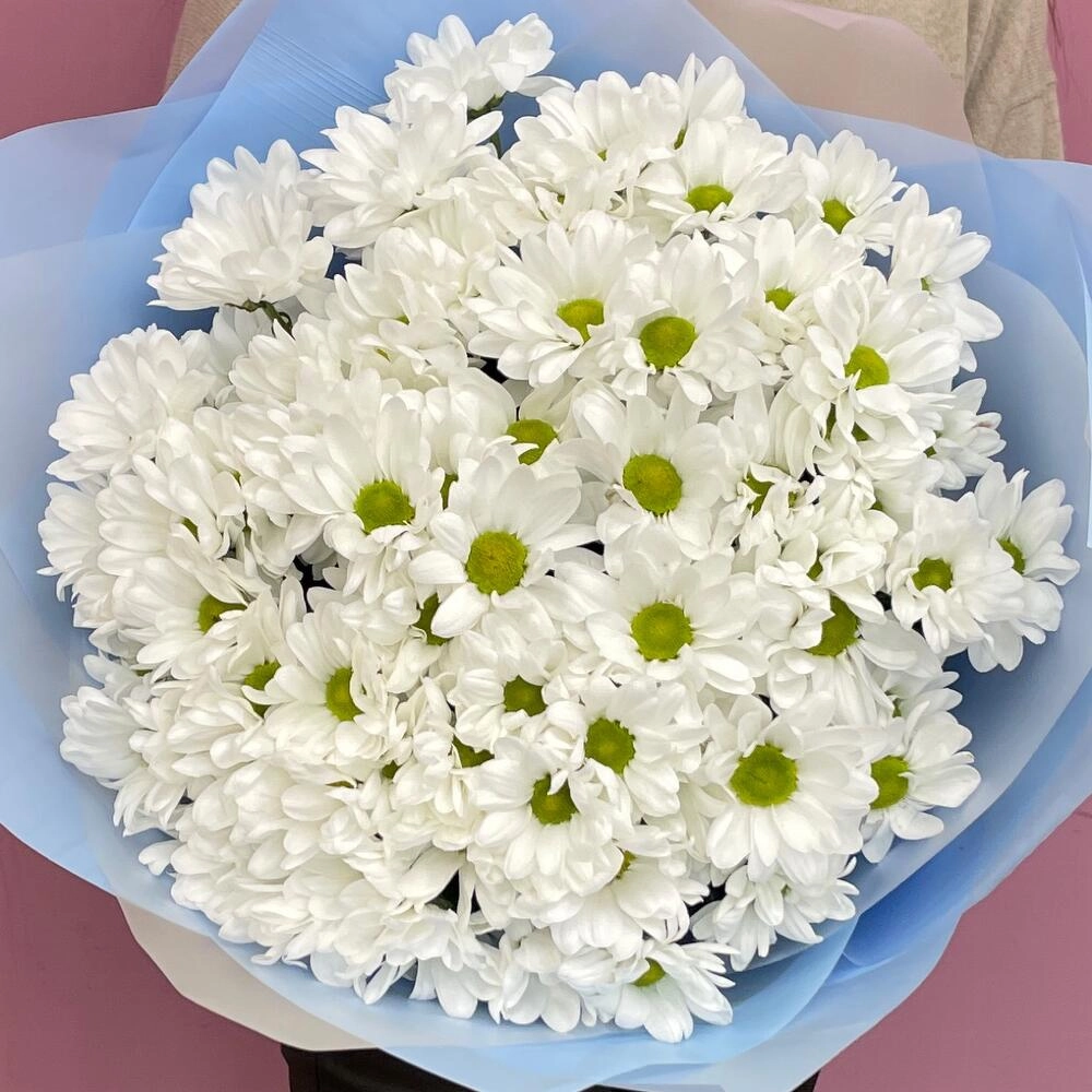 Букет «Ромашковое поле» – свежесть белых хризантем Вытегра Вологодская область