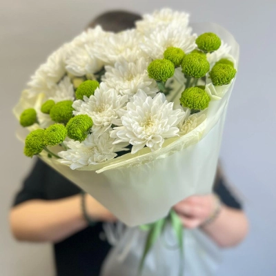 Эксклюзивный букет «Филин Грин» – сочетание белых и зеленых хризантем Вытегра Вологодская область