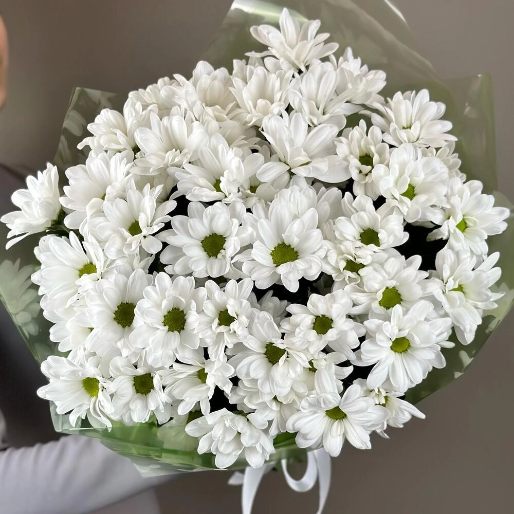 Букет «Мечты о лете» – свежесть белых хризантем Вытегра Вологодская область