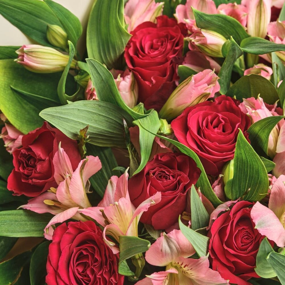 Букет «Нежность слов» — гармония красных роз и нежных альстромерий Вытегра Вологодская область