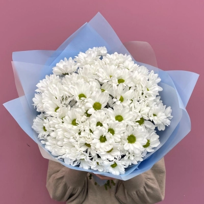 Букет «Ромашковое поле» – свежесть белых хризантем Вытегра Вологодская область