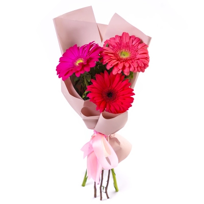 Яркий букет из 3 разноцветных гербер – маленькое чудо в ваших руках Вытегра Вологодская область