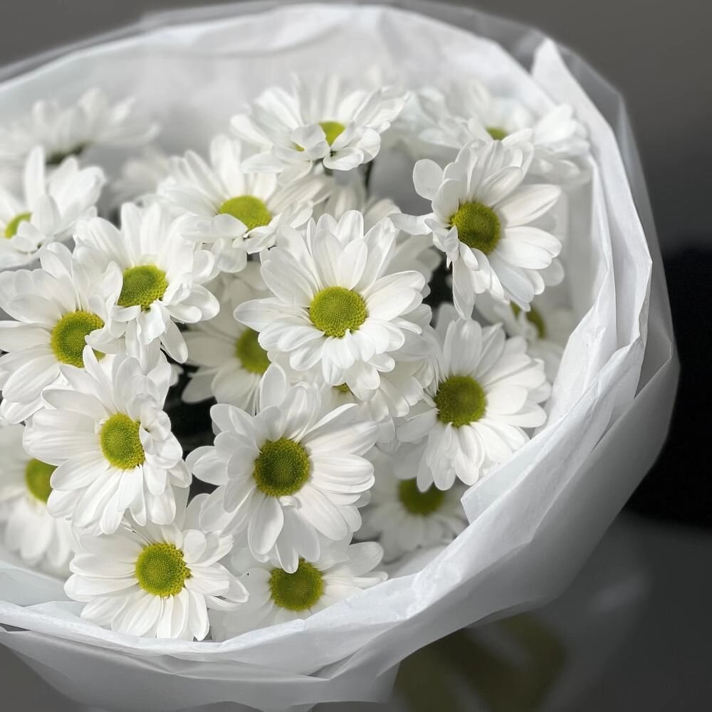 Букет «Ромашковый» – нежные белые хризантемы в деревенском стиле Вытегра Вологодская область