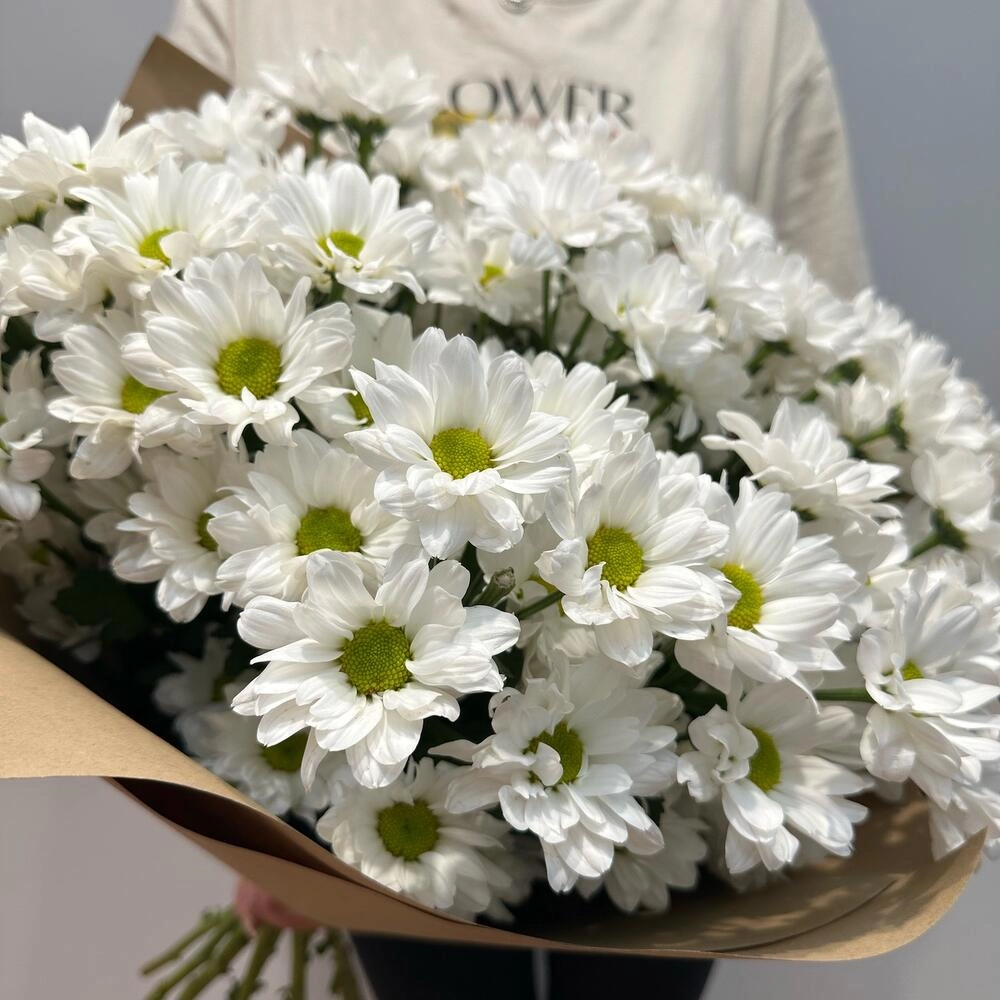 Букет «Летняя свежесть» – дыхание лета в белых хризантемах Вытегра Вологодская область