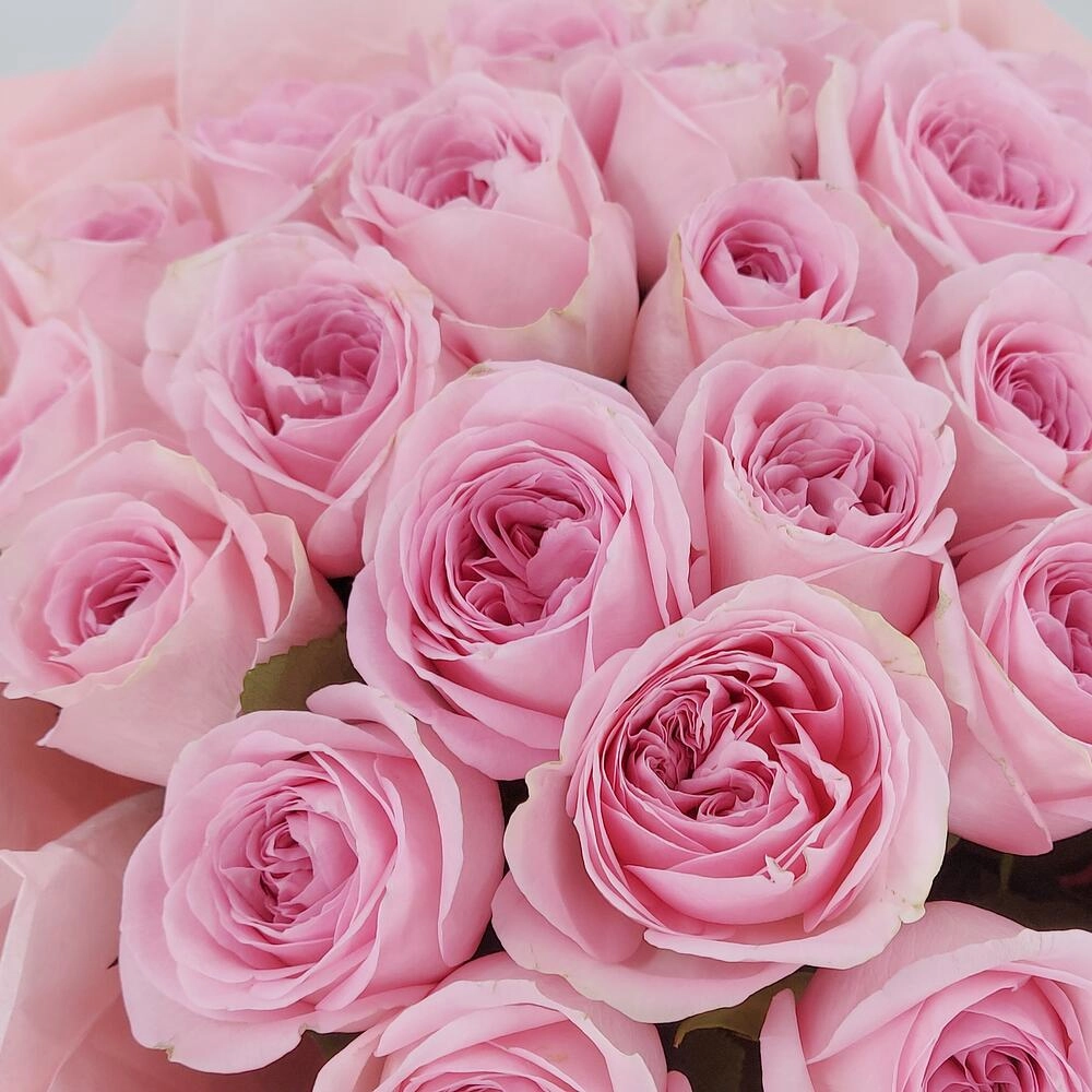 Букет из нежно-розовых роз – элегантность в каждом лепестке Вытегра Вологодская область
