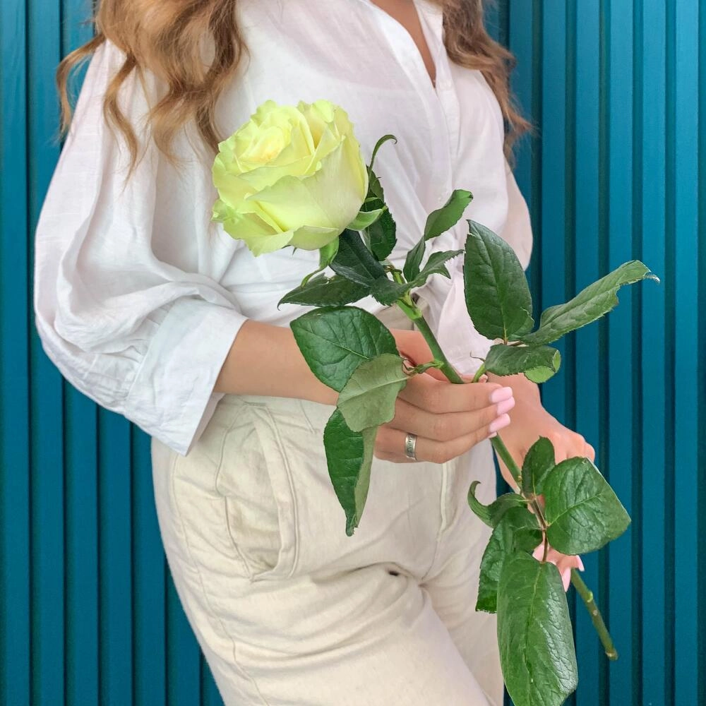 Комплимент из белой эквадорской розы – элегантность в каждом лепестке Вытегра Вологодская область