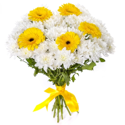 Солнечный букет из желтых гербер и белых хризантем – радость в каждом лепестке Вытегра Вологодская область