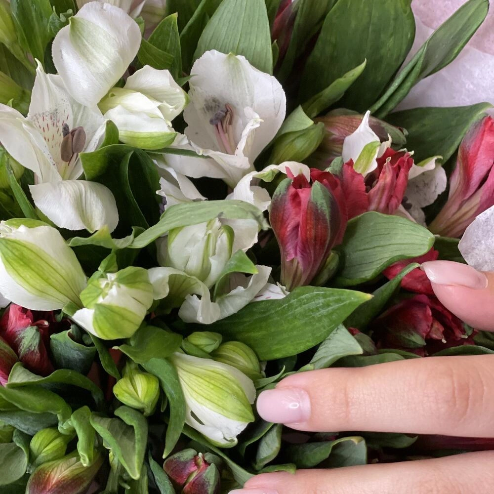 Букет «Люблю»– страсть и чистота в красно-белых альстромериях Вытегра Вологодская область