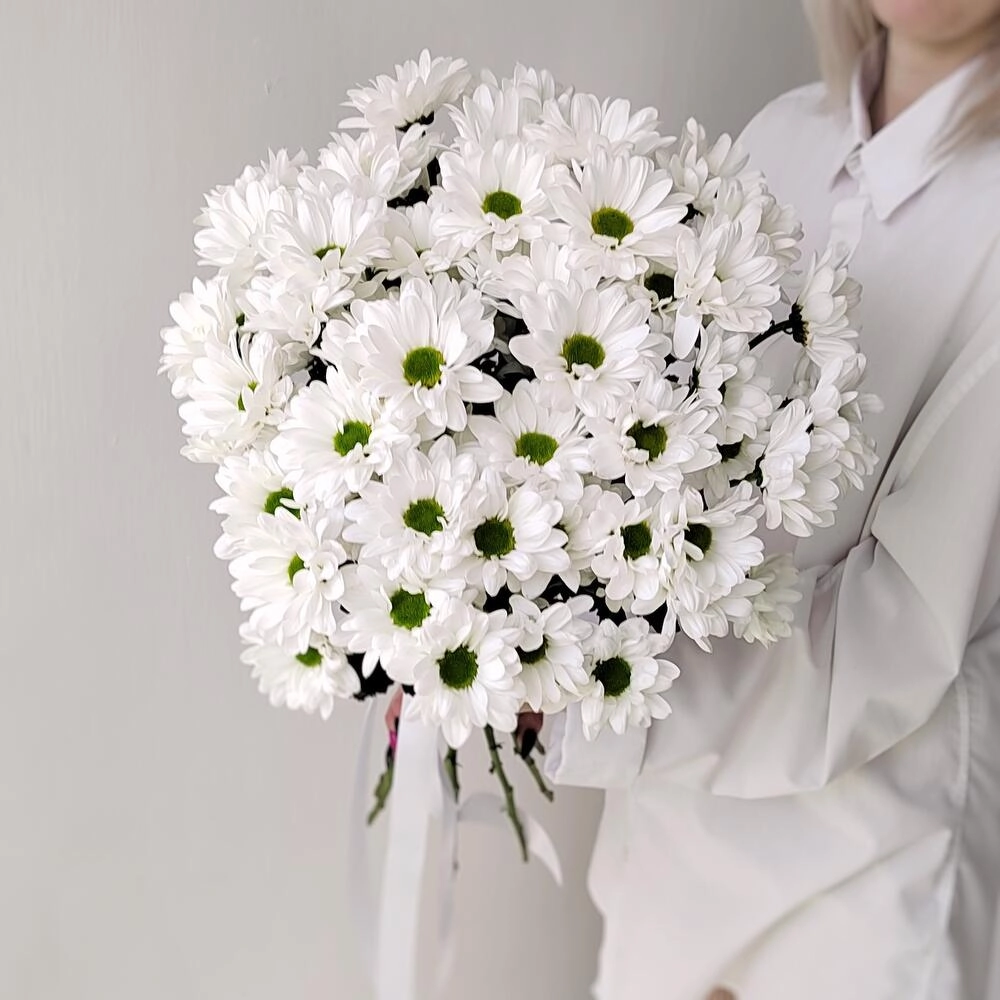 Букет «Ромашка» – 9 белоснежных хризантем в деревенском стиле Вытегра Вологодская область