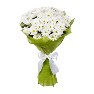 Пышный букет из хризантем – элегантность в каждом лепестке Вытегра Вологодская область