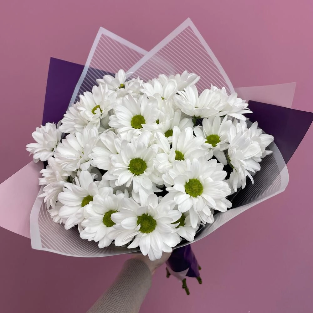 Букет «Весеннее настроение» – свежесть белых хризантем Вытегра Вологодская область