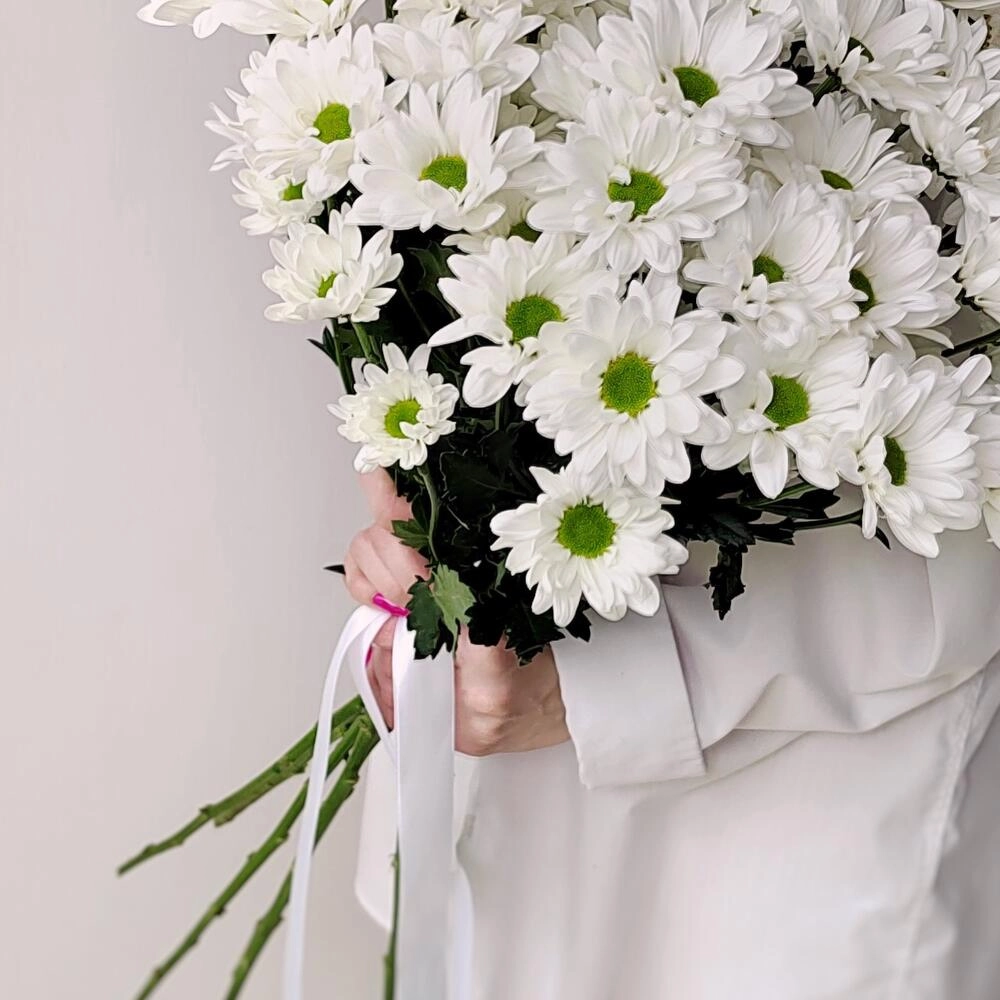 Букет «Ромашка» – 9 белоснежных хризантем в деревенском стиле Вытегра Вологодская область