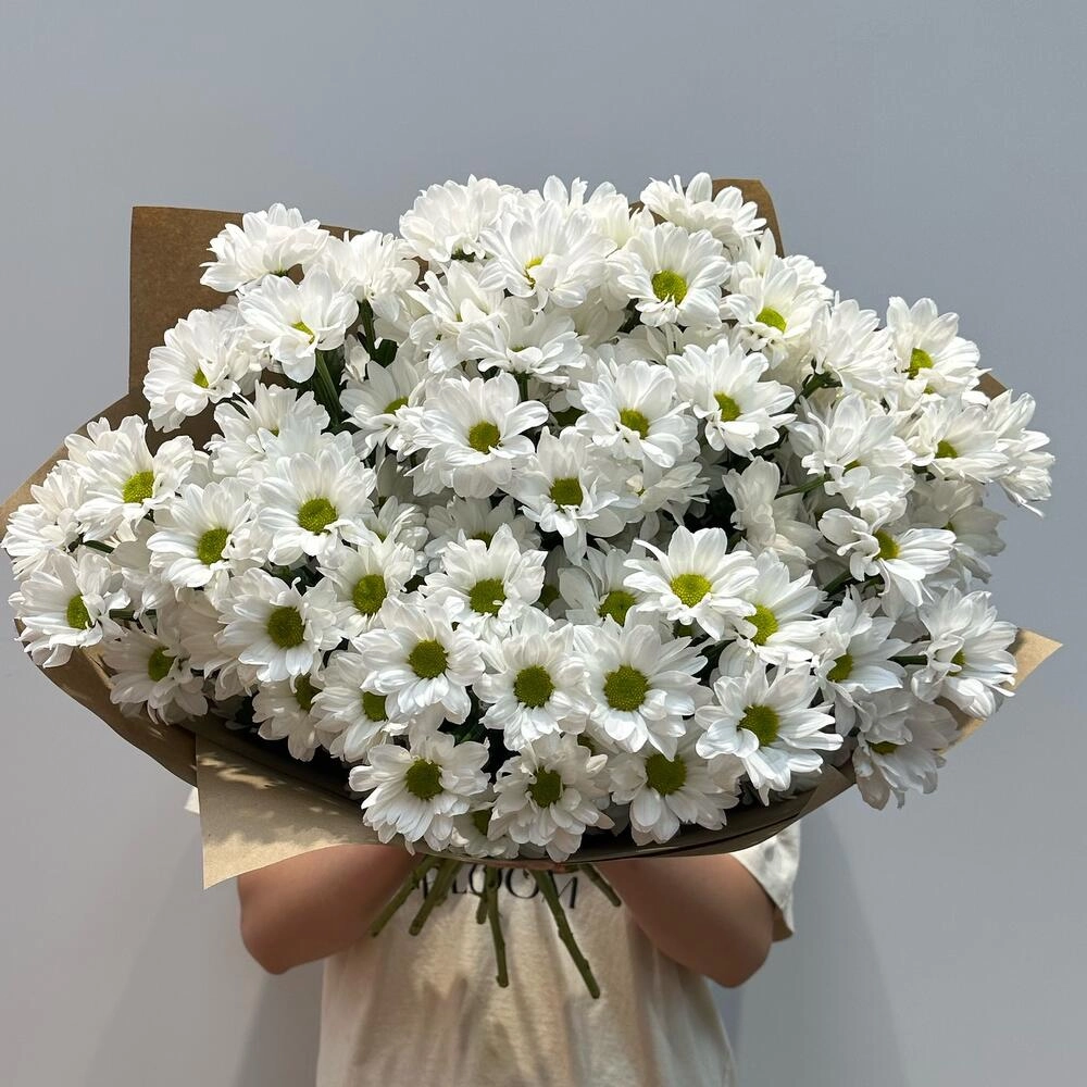 Букет «Летняя свежесть» – дыхание лета в белых хризантемах Вытегра Вологодская область