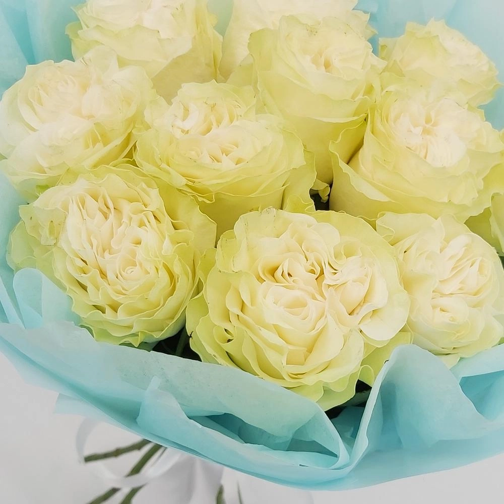 Букет «Кружевное облачко» – 11 белоснежных роз в нежной упаковке Вытегра Вологодская область