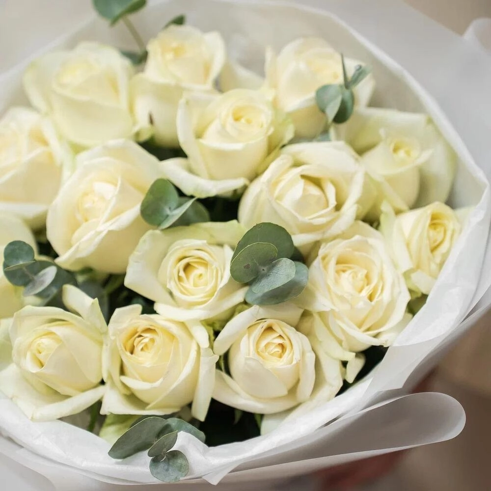 Букет из 15 белых роз с эвкалиптом – чистота и изысканность Вытегра Вологодская область