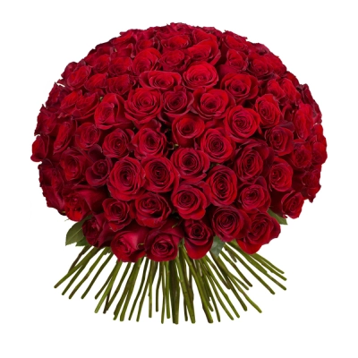 Букет из 101 красной розы – символ бесконечной страсти Вытегра Вологодская область