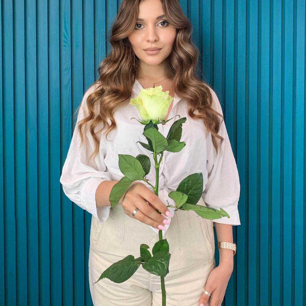 Комплимент из белой эквадорской розы – элегантность в каждом лепестке Вытегра Вологодская область