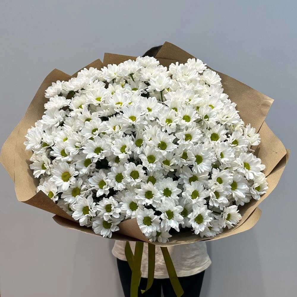 Букет «21 ромашка» – нежные белые кустовые хризантемы в натуральном стиле Вытегра Вологодская область
