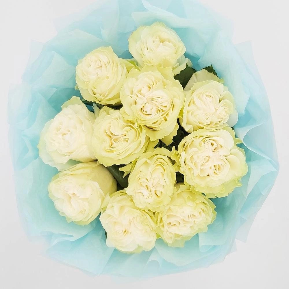 Букет «Кружевное облачко» – 11 белоснежных роз в нежной упаковке Вытегра Вологодская область