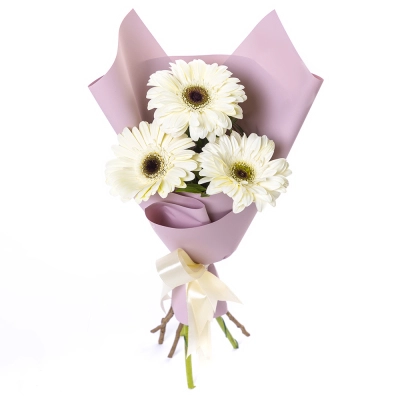 Нежный букет из 3 белых гербер – символ искренности и света Вытегра Вологодская область