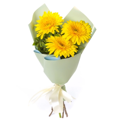 Яркий букет из 3 жёлтых гербер – частичка солнечного света Вытегра Вологодская область