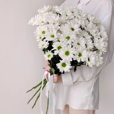 Букет «Ромашка» – 9 белоснежных хризантем в деревенском стиле Вытегра Вологодская область