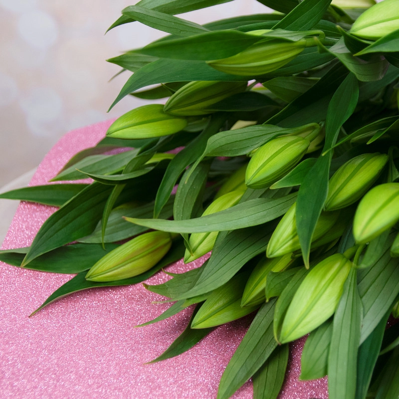 Изысканный букет из 15 свежих лилий – королевский подарок Вытегра Вологодская область