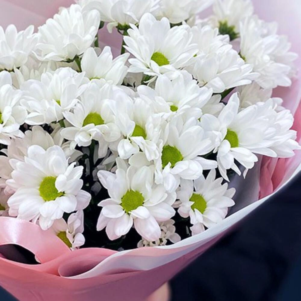 Букет «Розовое счастье» – нежность белых хризантем Вытегра Вологодская область