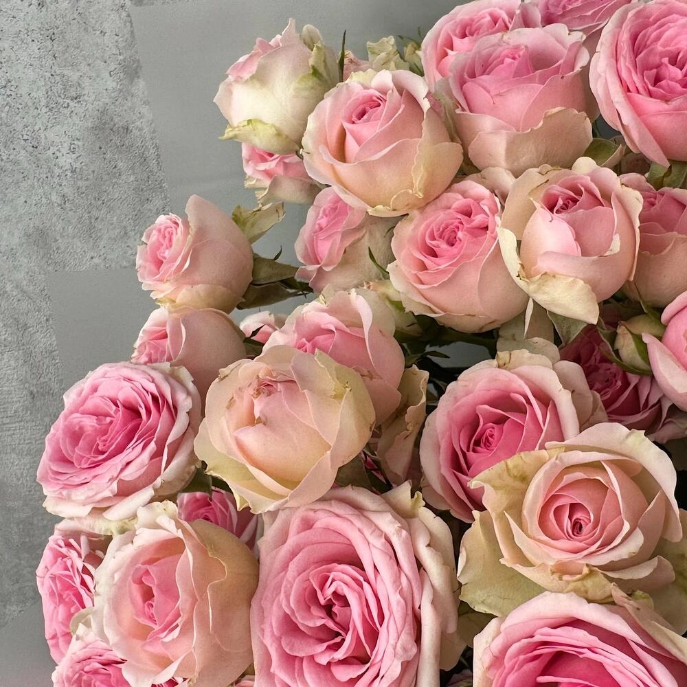 Букет «Нежный аромат» – пышные розовые кустовые розы в элегантной упаковке Вытегра Вологодская область