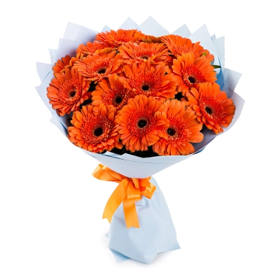 Яркий букет из 15 оранжевых гербер – как кусочек солнца в ваших руках Вытегра Вологодская область