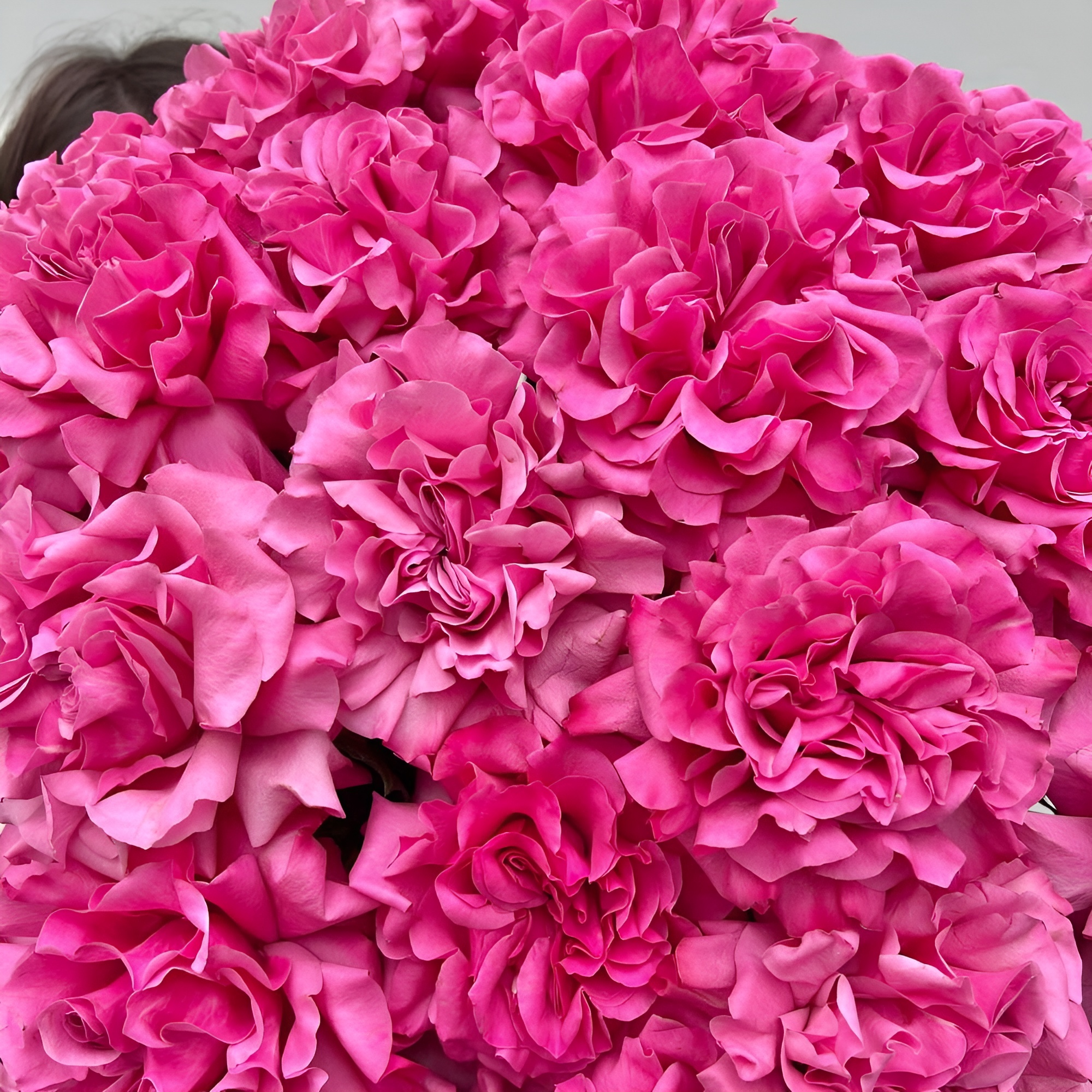 Роскошный букет из пионовидных роз – королевский подарок Вытегра Вологодская область