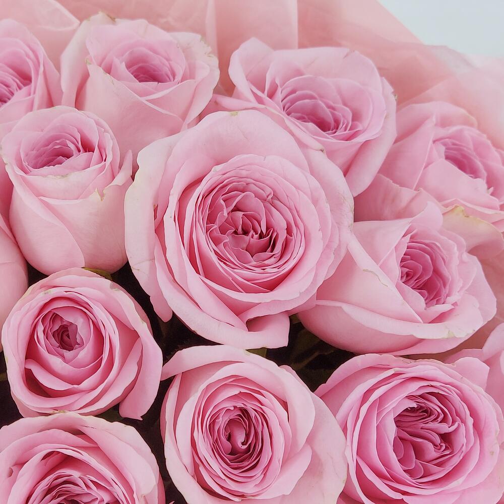 Букет из нежно-розовых роз – элегантность в каждом лепестке Вытегра Вологодская область